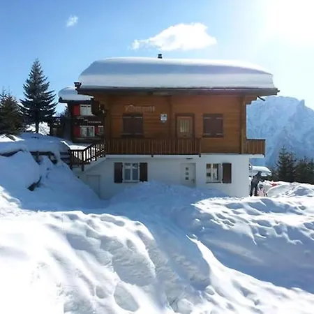 Apartment Chalet Adlerhorst Parterre 3,5 Zimmer Rosswald