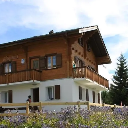 Chalet Adlerhorst Parterre 3,5 Zimmer Apartment